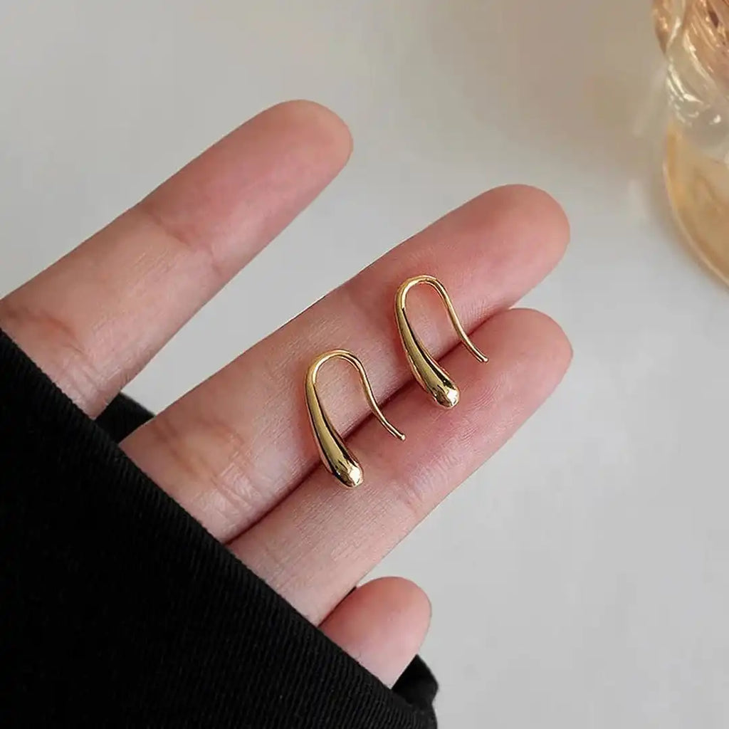 Water Drop Polished Earrings