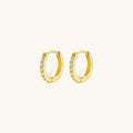 Elegant Huggie Gold Earrings