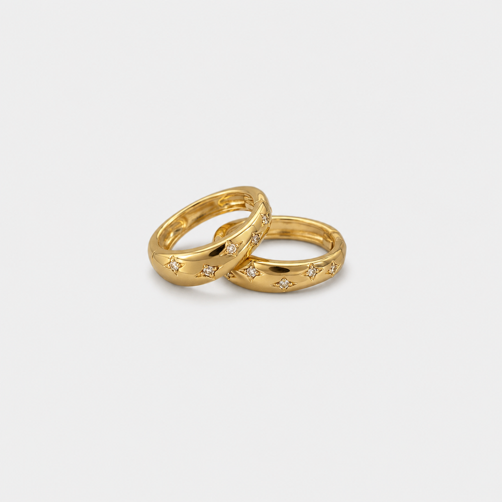 Luxury Gold Silver Earrings