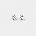 Silver Paw Trail Stud Earrings