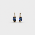 Royal Midnight Gold Drop Earrings