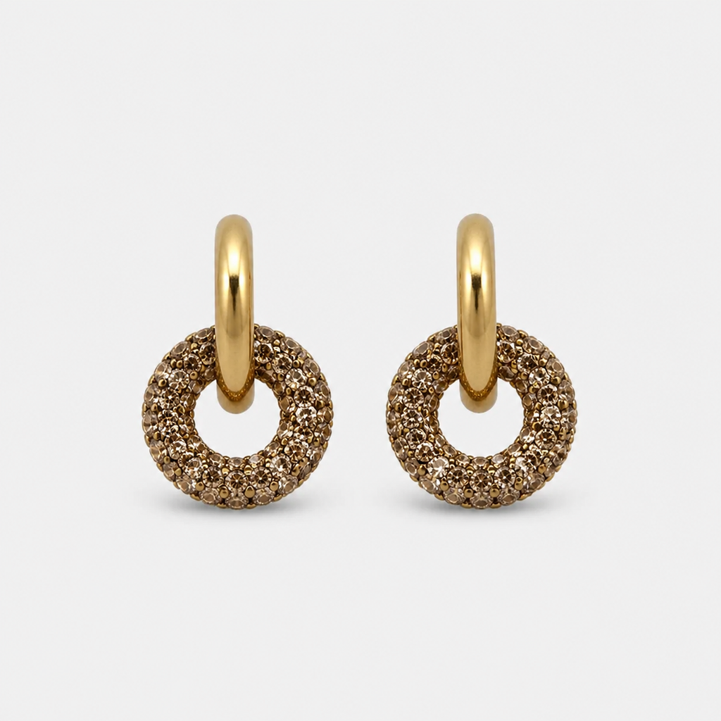 Darina Cute Donut Earrings