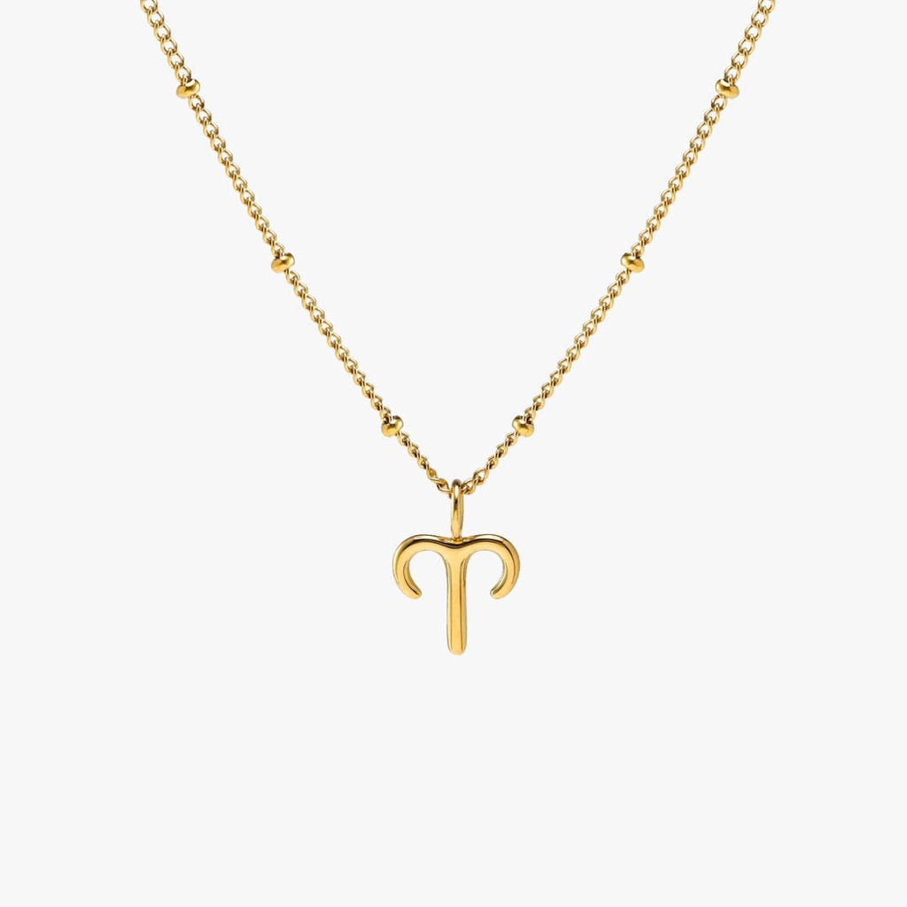 Zodiac Harmony Charm Necklace